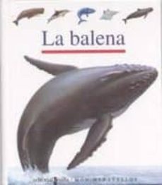 la balena-9788482868264
