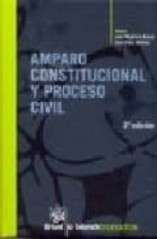 amparo constitucional y proceso civil (2ª ed.)-9788498760064