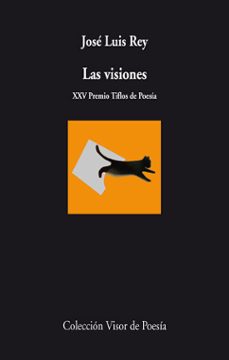 las visiones-jose luis rey-9788498958164