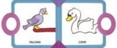 animales-lieve boumans-9788499138664