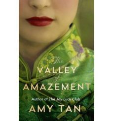 valley of amazement-9780007468874