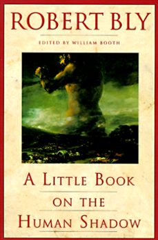 a little book on the human shadow (ebook)-robert bly-9780061971174
