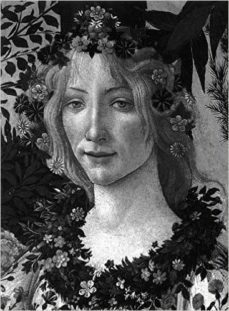 botticelli-lionello venturi-9780714869674