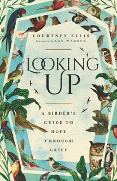 looking up-courtney ellis-9781514007174