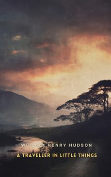 a traveller in little things (ebook)-9781836102274