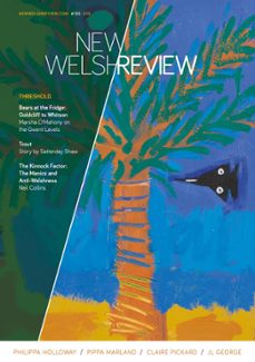 new welsh review 135 (summer 2024)-satterday shaw-philippa holloway-pippa marland-9781913830274