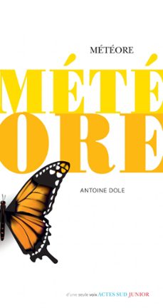 meteore (ebook)-antoine dole-9782330130374