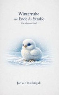 winterruhe am ende der strasse (ebook)-joe van nachtigall-9783693302774