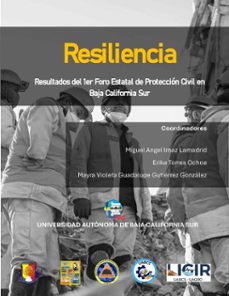 resiliencia (ebook)-erika torres ochoa-mayra violeta guadalupe gutiérrez gonzález-leonardo álvarez santamaría-9786078925674