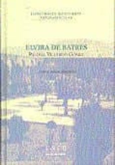 elvira de batres... y otros relatos premiados. i concurso de rela to breve. uned plasencia 2001.-paloma villarejo gomez-9788436245974