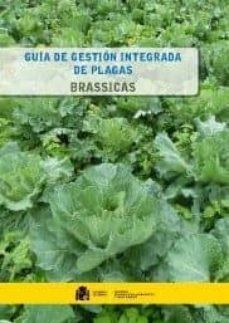 usurpaciones de tierras y derechos comunales en sevilla-maria antonia carmona ruiz-9788449101274