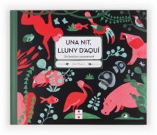 una nit lluny d aqui-julia wauters-9788466131674