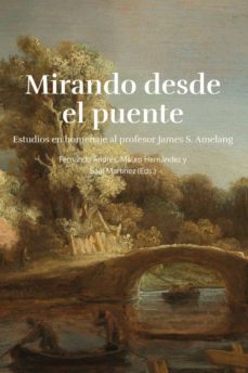 mirando desde el puente-fernando andres robres-9788483446874