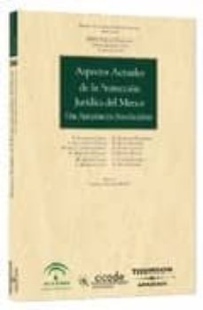 aspectos actuales proteccion juridica menor-mª del carmen garcia garnica-9788483558874