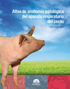 atlas de anatomía patológica del aparato respiratorio del cerdo-serafin gomez cabrera-9788492569274
