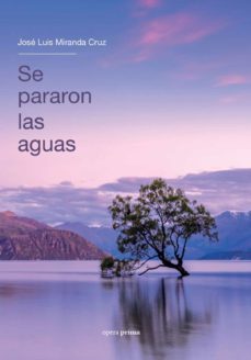 se pararon las aguas. diario de una cuarentena-jose luis miranda cruz-9788499468174