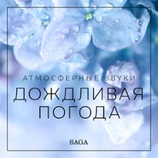 Imagen Principal de Audiolibro Атмосферные звуки – Дождливая погода