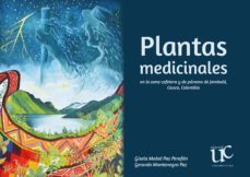 plantas medicinales (ebook)-gisela mabel paz perafan-gerardo montenegro paz-9789587323474