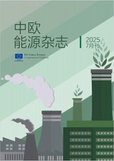 20257 (ebook)-eu-china energy cooperation platform project-9798231925674