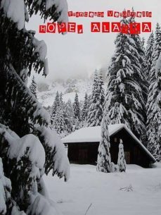 hope, alaska (ebook)-francesca verginella-cdlxi00341174
