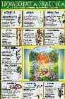 homeopatia-8436005160128