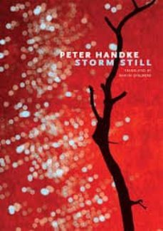 storm still-9780857425584