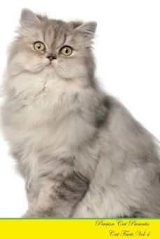persian cat presents-9781526964984