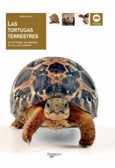 las tortugas terrestres (ebook)-massimo millefanti-9781785259784
