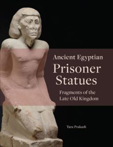 ancient egyptian prisoner statues (ebook)-tara prakash-9781948488884