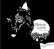 -antoine guilloppe-9782013940184