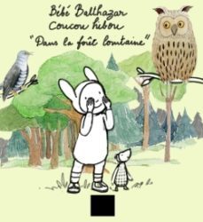 coucou hibou dans la foret lointaine-9782401037984