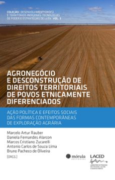 agronegocio e desconstruço de direitos territoriais de povos etnicamente diferenciados (ebook)-marcelo artur rauber-daniela fernandes alarcon-marcos cristiano zucarelli-9786581315184