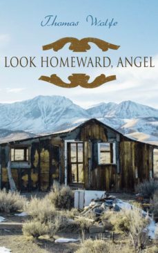 look homeward, angel (ebook)-thomas wolfe-9788026893684