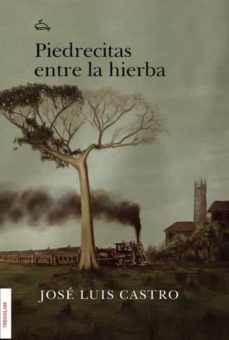 piedrecitas  entre la hierba-jose luis de castro-9788419277084