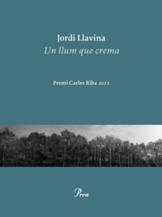 un llum que crema (ebook)-jordi llavina-9788419657084