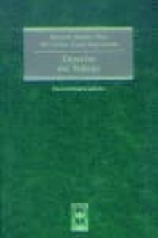 derecho del trabajo (19ª ed.)-9788447016884
