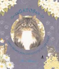gatos-anne mortimer-9788479011284