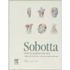 sobotta.cuadernos de tablas-friedrich paulsen-9788480865784