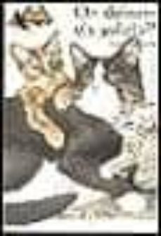 on deixem els gatets?-lucy daniels-9788482867984