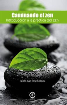 confesiones de una laowai en el pais del te-rosanna moreda-9788483528884