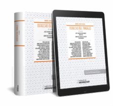 derecho del trabajo (10ª ed.)-jose ignacio garcia ninet-arantzazu vicente palacio-9788491973584