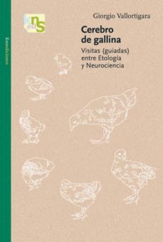 cerebro de gallina: visitas (guiadas) entre etologia y neurocienc ia-giorgo vallortigara-9788493662684