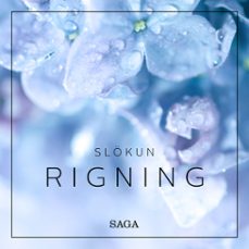 slökun - rigning-rasmus broe-9788726266184
