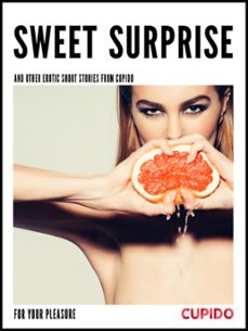 sweet surprise - and other erotic short stories (ebook)-9788726545784
