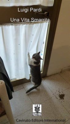 una vita smarrita (ebook)-9788869821684