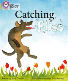 catching flies (ebook)-june crebbin-9780008429294
