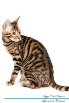 toyger cat affirmations workbook toyger cat presents-9781526976994