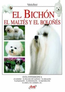 el bichon-9781644612194