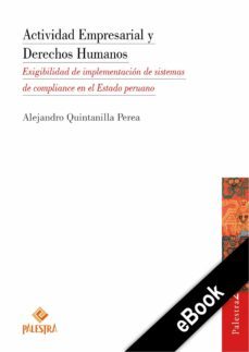 actividad empresarial y derechos humanos (ebook)-alejandro quintanilla perea-9786123252694