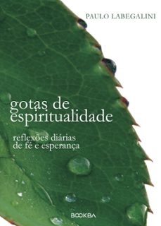 gotas de espiritualidade (ebook)-paulo labegalini-9786585384094